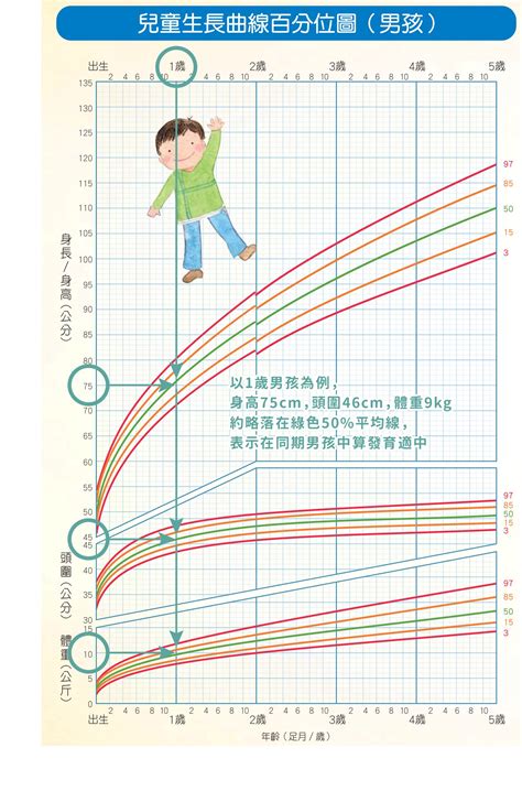 小孩成長期